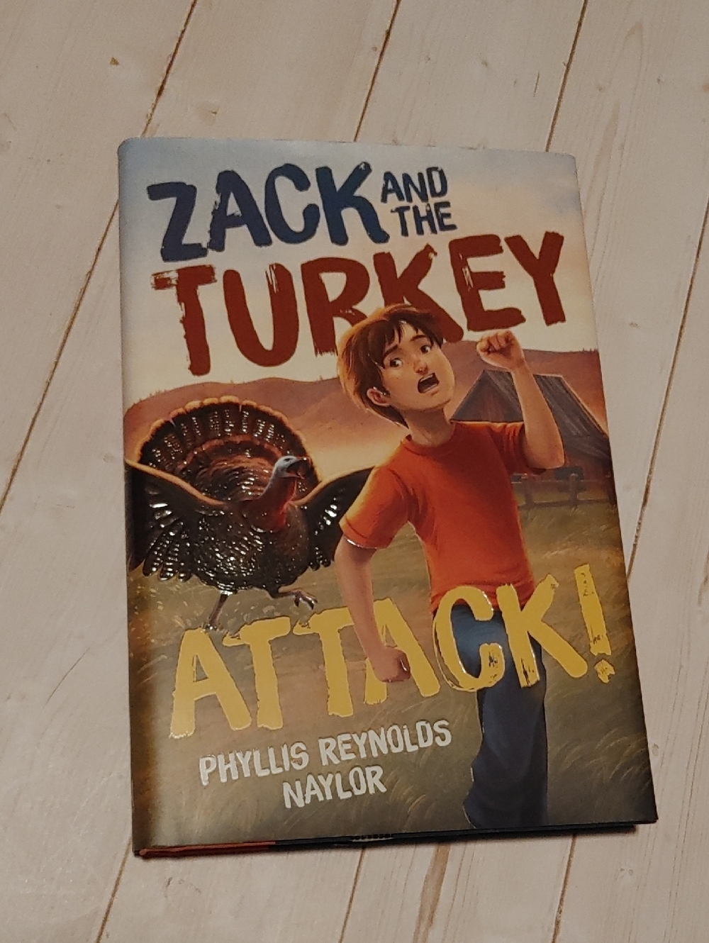 Zack And The Turkey Attack Children Chapter Novel Book Phyllis Reynolds Naylor